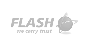 flash logo